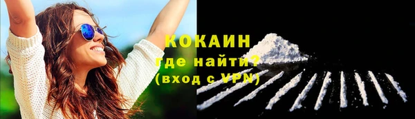 гашик Белокуриха