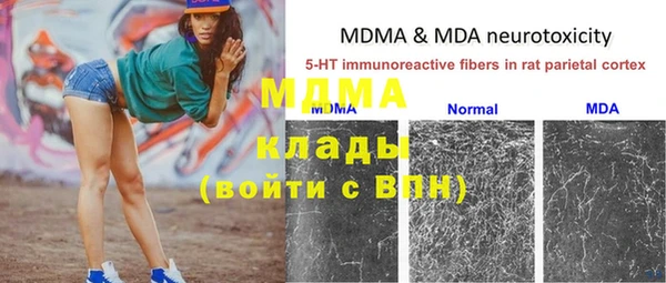 гашик Белокуриха