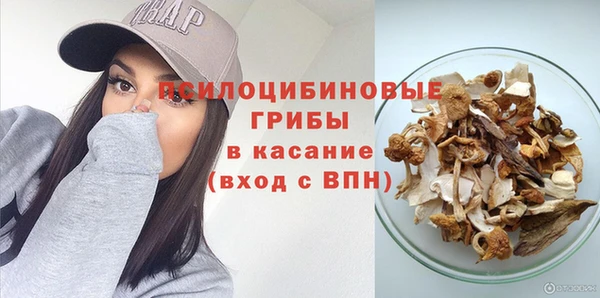 гашик Белокуриха