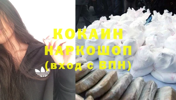 гашик Белокуриха