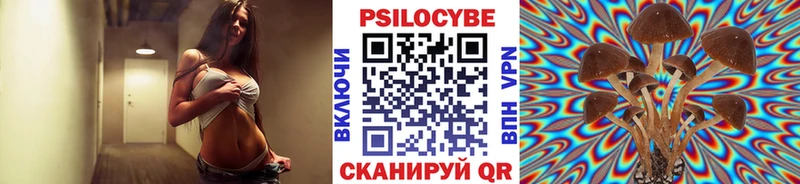 omg сайт  Торопец  Галлюциногенные грибы MAGIC MUSHROOMS 